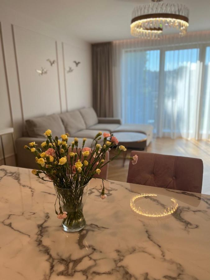 Apartment Eternity Luxury Dolny